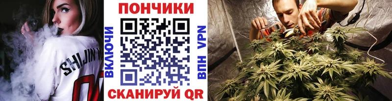 где продают   Кимры  Бошки марихуана планчик 